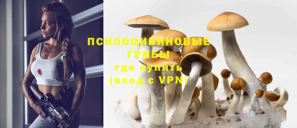 прущий лед Абдулино