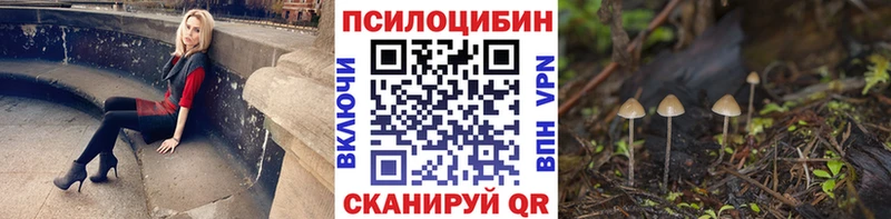 Галлюциногенные грибы Cubensis  Алагир 